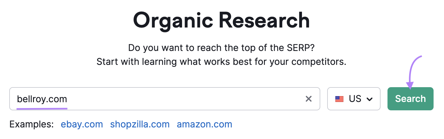 enter a competitor’s website into the Organic Rankings tool