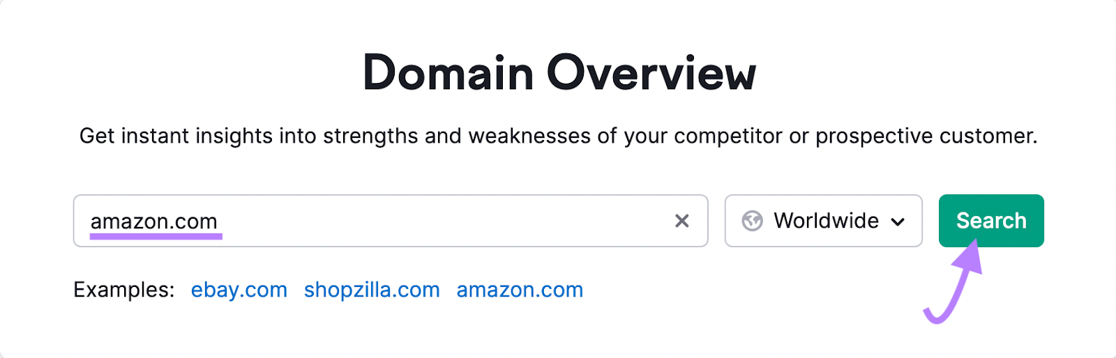 "amazon.com" entered into the Domain Overview search bar