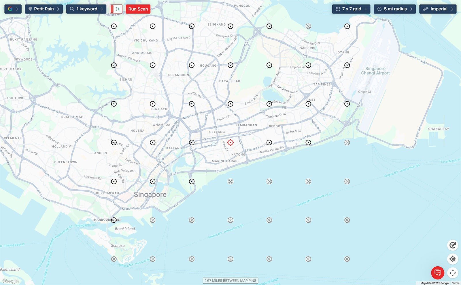 Local Falcon map of Singapore showing scan grid points for Petit Pain with a 7x7 layout and “Run Scan” button.