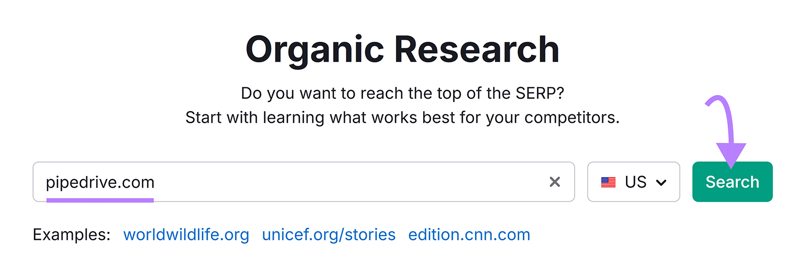 Organic Rankings search bar with domain entered and arrow pointing to “Search”.