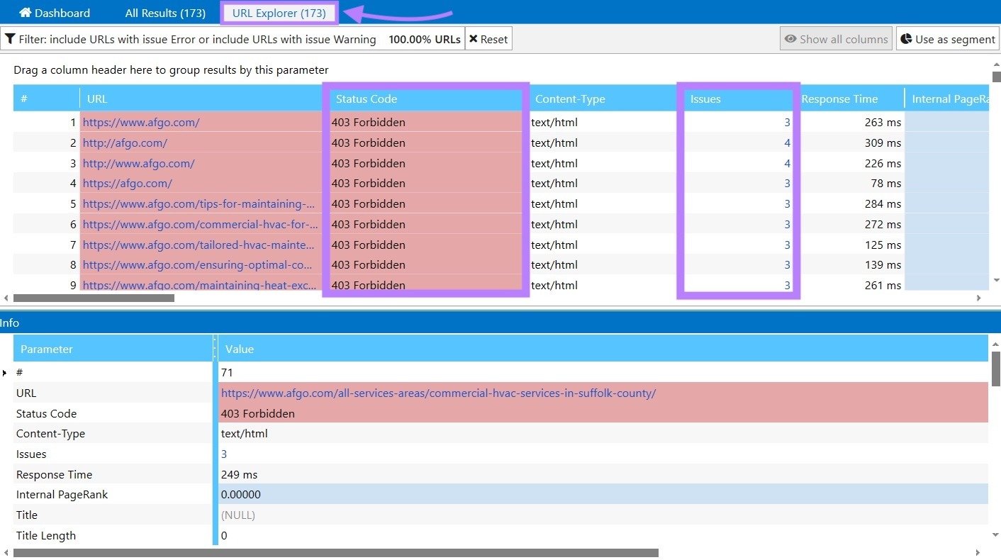 URL Explorer on Netspeak Spider with the status code and issues columns highlighted.