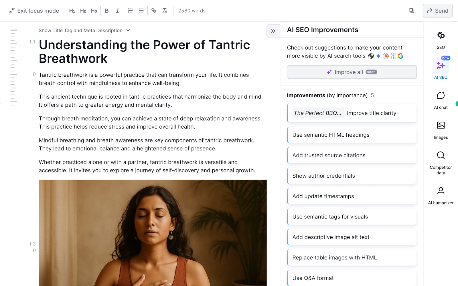 AI Search Optimizer image 2